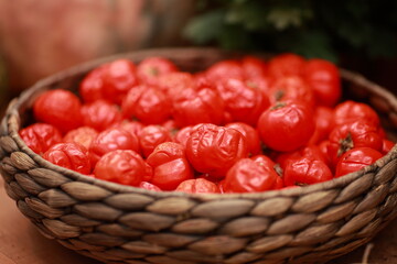 Dried tomatoes, autumn vegetables, harvest, autumn vegetables - 466974234
