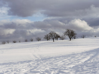 View of a snowy landscapes, hill, meadow and apples orchard in winter around lake Eichen and...