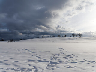 Beautiful winter scenery, snowy hill and meadows covered with white coat on Naturpark of Black Forest in Germany