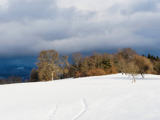 Snow-covered landscape around Lake Eichen surrounded by hills and meadows with a view of Gersbach in Southern Black Forest Germany