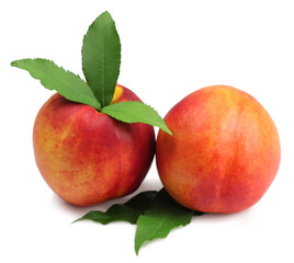 Nectarine isolated on white