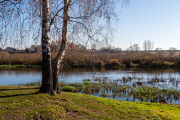 Narwiański Park Narodowy, Rzeka Narew w Surażu, Podlasie, Polska