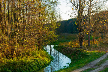 Golden hour by the Narew River