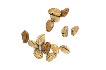 Brazil nuts or Bertholletia excelsa seeds isolated on white