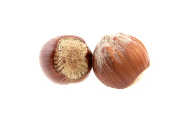 Whole hazelnuts isolated on white