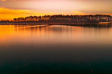 Obraz premium Golden hour by the Narew River
