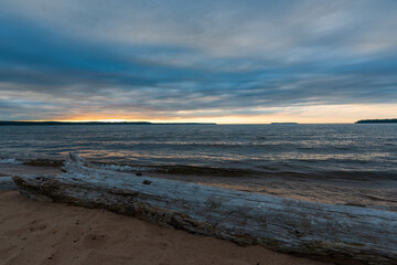 Sunrise reflected on wet beach sand with incoming waves, seagull and logs.