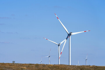 Fototapeta premium A wind farm in the steppe. Selective focus. Copy space.