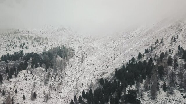 Storm, snowfall in the huge glacier of Mount Belukha, the valley of the Aktru River, the Altai Mountains. Cloudy weather, stone in the snow, storm, wildlife, winter forest, frozen mountain river in