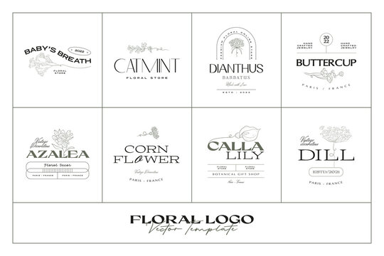 Vintage Flower logo template collection illustration for branding