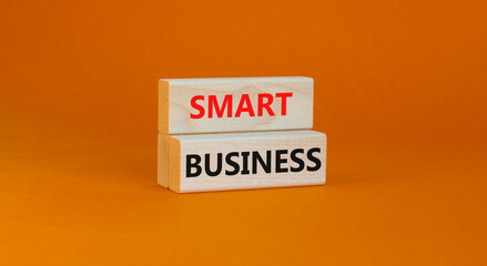 Time to smart business symbol. Wooden blocks with words 'Smart business'. Beautiful orange background. Smart success business concept. Copy space.