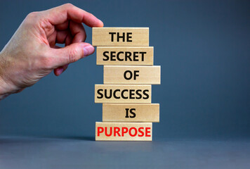 Success and purpose symbol. Wooden blocks with concept words The secret of success is purpose. Beautiful grey background, copy space. Businessman hand. Business, success and purpose concept.