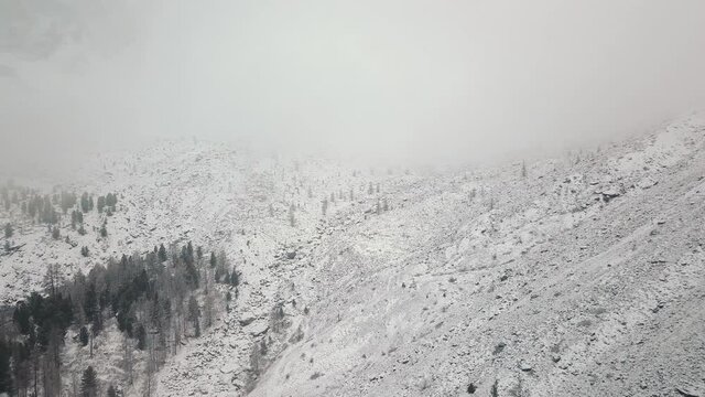 Storm, snowfall in the huge glacier of Mount Belukha, the valley of the Aktru River, the Altai Mountains. Cloudy weather, stone in the snow, storm, wildlife, winter forest, frozen mountain river in