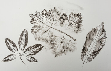  imprints of leaves - Graphics - monoprint