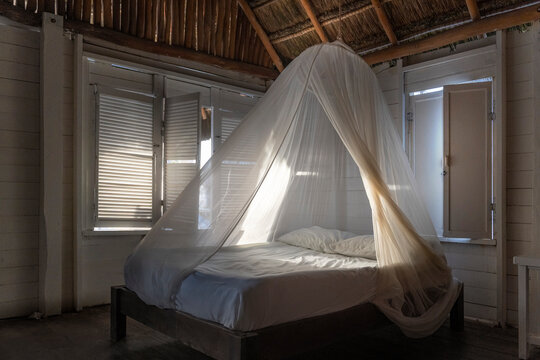 Interior of Mahaual Caribbean wooden hut, Mexican beach log cabin, dawn in bed whit mosquito net