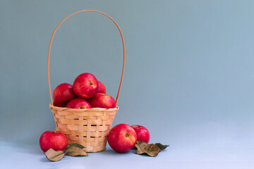 Red appetizing sweet red apples in basket on blue background with copy space. Organic vegetarian homegrown fruits with leaves