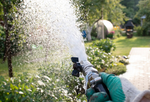 man watering a garden with a hose in summer