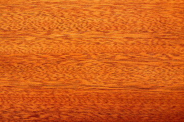 Fototapeta premium wood texture under varnish