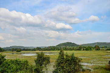 Wetlands at Adyapadi, Mangalore, India