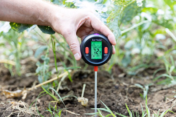 Measuring temperature and moisture content of the soil. Greenhouse effect and global warming concept. - obrazy, fototapety, plakaty