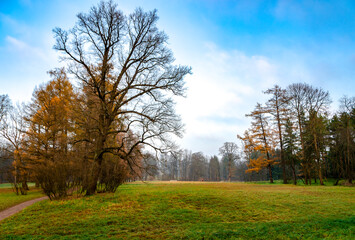 Alexander park in autumn, Pushkin (Tsarskoe Selo), St. Petersburg, Russia