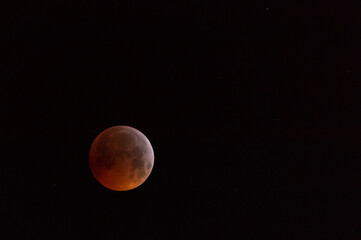 beautiful red full moon eclipse January 2019