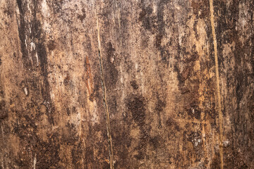 Old scratched weathered wooden plank