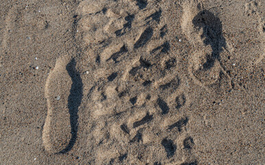 Fototapeta na wymiar car tire marks on the sand on an autumn sunny day