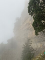 Pine trees and rocks in the fog in the mountains in autumn