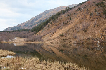 autumn landscape, lake in the mountains, water surface, fallen trees, coniferous forest and the first snow, mountains on the background