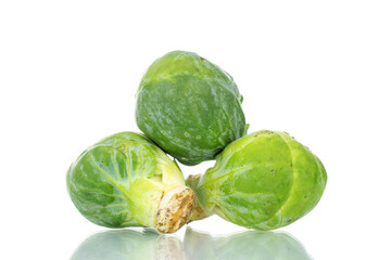 Organic ripe brussels sprouts, close-up, isolated on white.