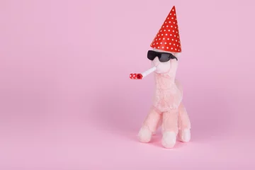 Gordijnen Funny llama with sunglasses, birthday cap and blowing whistle. Minimal animal fun idea © Jovica Varga