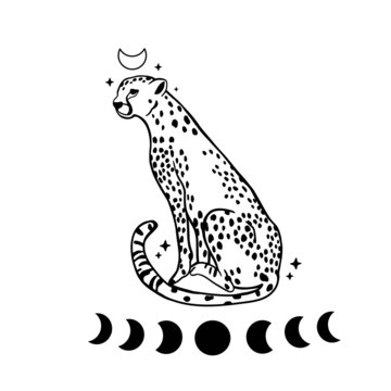 Black and white vector sketch of walks leopard. tropical leopard