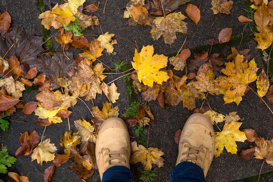 Closeup of autumnal leaves fallen on the road with feeet of man wearing winter boots in the street