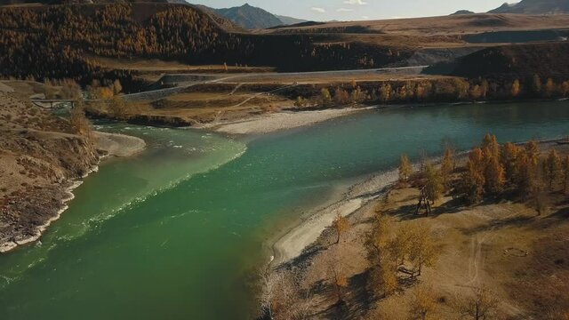 Altai Republic, Siberia, Russia. The two rivers Biya and Katun join into one river. Landscape with autumn wildlife: huge mountains, stone coast, yellow trees with golden foliage, green turquoise river