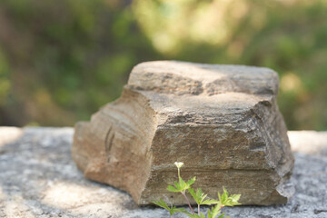 Stone on the background of green plants, the perfect podium for your product, natural background with textured pedestal. High quality photo