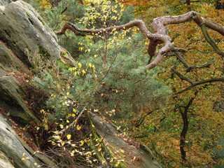 Die D&ouml;renther Klippen bei Ibbenb&uuml;ren