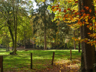 Die Dörenther Klippen bei Ibbenbüren