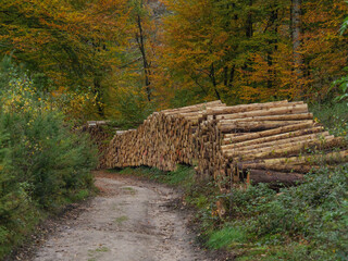 Die Dörenther Klippen bei Ibbenbüren