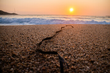 coucher de soleil à la plage derrière un fil en plastique noir 