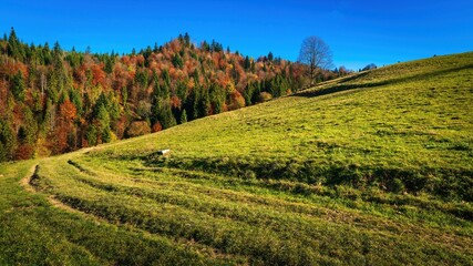 Jesień w Pieninach w słoneczny dzień © Michal45