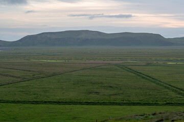 Obraz premium Landscape of farmland fields near Vik South Iceland