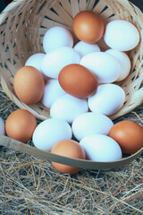a lot of fresh chicken eggs in a straw basket on a background of hay. Healthy eating concept