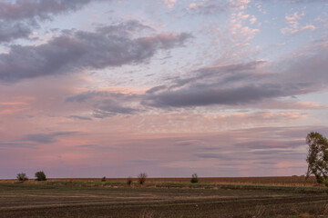 Rural landscape in the morning with blue pink sky, aerial view. Aerial view of countryside during sunrise.