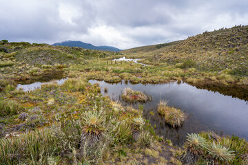 Hike to Paramo de Guacheneque, birthplace of the Bogota River. The 
guacheneque lagoon. At...