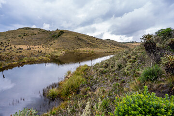Hike to Paramo de Guacheneque, birthplace of the Bogota River. The 
guacheneque lagoon. At...