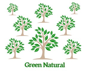 Natural green tree vector. natural green. Evergreens. Natural tree logo. green forest. world tree day. Vector design illustration.