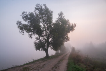 Obraz na płótnie Canvas morning in the fog