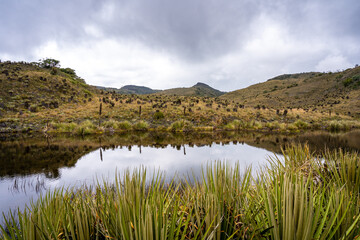 Fototapeta na wymiar Hike to Paramo de Guacheneque, birthplace of the Bogota River. The guacheneque lagoon. At Villapinzón, Cundinamarca, Colombia.