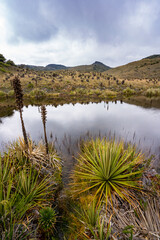Hike to Paramo de Guacheneque, birthplace of the Bogota River. The 
guacheneque lagoon. At Villapinzón, Cundinamarca, Colombia.